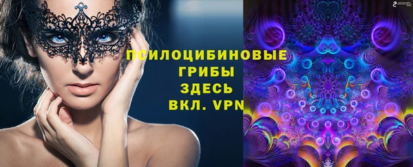 винт Зеленокумск