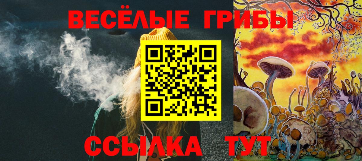Краснотурьинск  Псилоцибиновые грибы MAGIC MUSHROOMS  Вход с VPN 